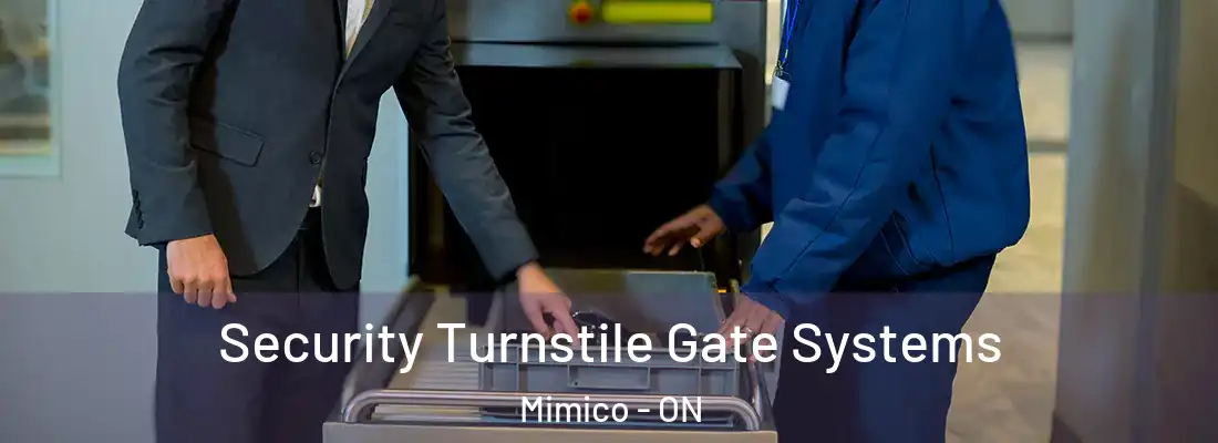  Security Turnstile Gate Systems Mimico - ON