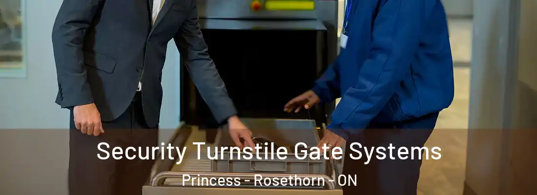  Security Turnstile Gate Systems Princess - Rosethorn - ON