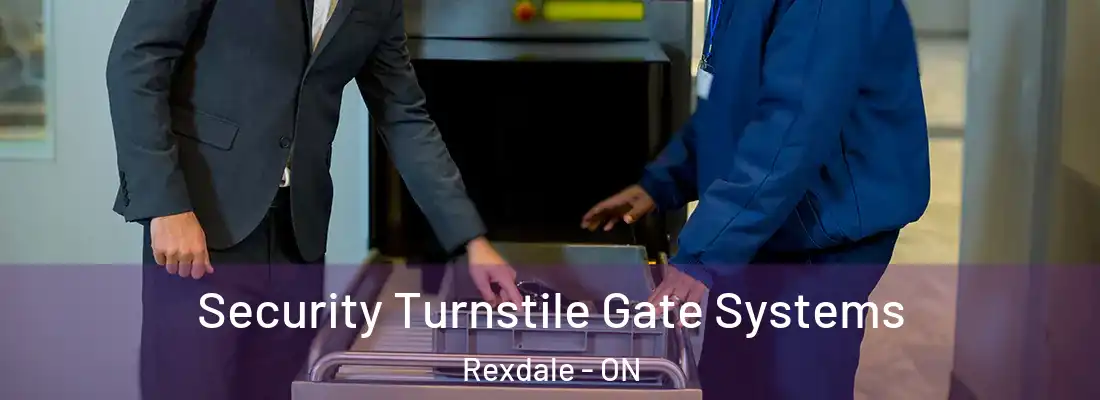  Security Turnstile Gate Systems Rexdale - ON