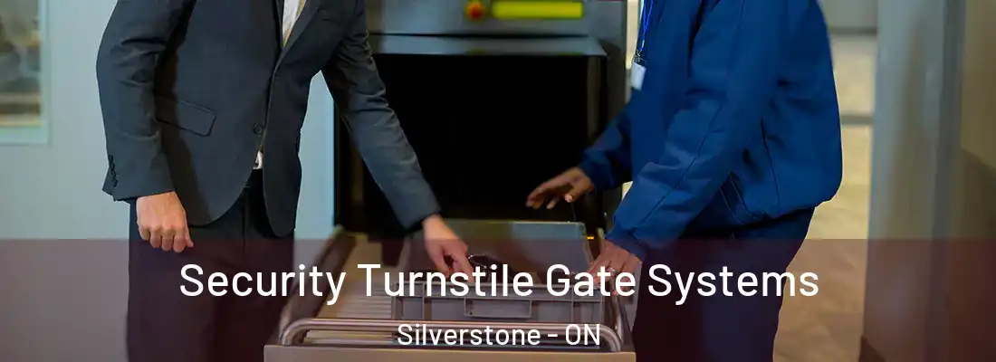  Security Turnstile Gate Systems Silverstone - ON