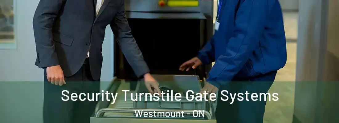  Security Turnstile Gate Systems Westmount - ON