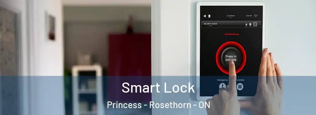  Smart Lock Princess - Rosethorn - ON