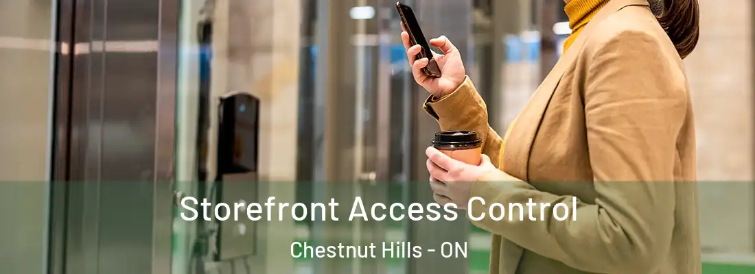  Storefront Access Control Chestnut Hills - ON