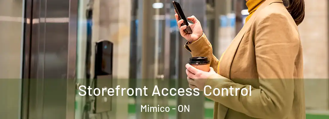  Storefront Access Control Mimico - ON