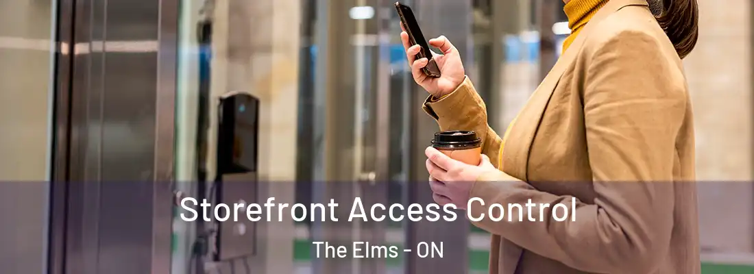  Storefront Access Control The Elms - ON