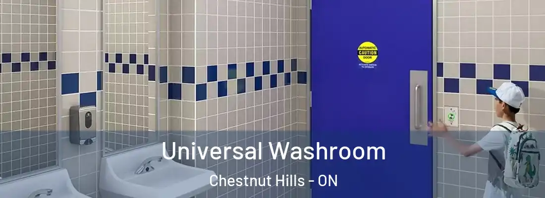  Universal Washroom Chestnut Hills - ON