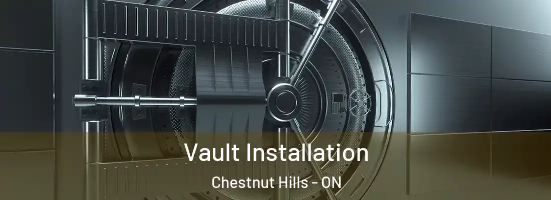 Vault Installation Chestnut Hills - ON