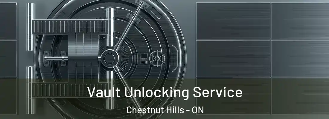  Vault Unlocking Service Chestnut Hills - ON