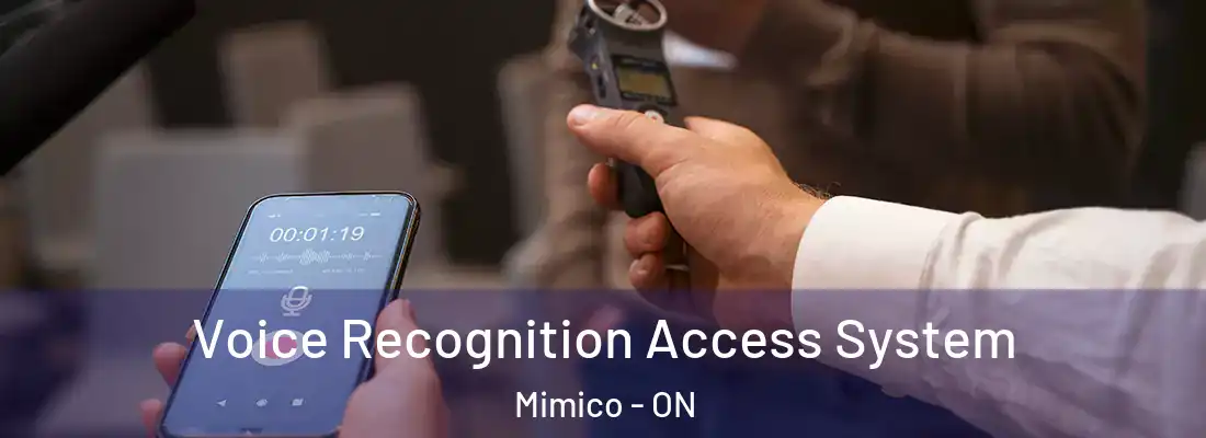  Voice Recognition Access System Mimico - ON